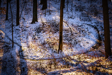 Canvas Print - Loch Raven Loop