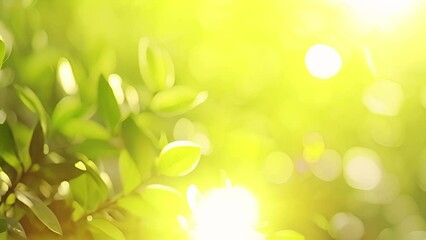 Wall Mural - Fresh green leaves on a tree sway in the wind. Elegant green background of green leaves and bokeh. High quality, 4K Copy space sunlight shining