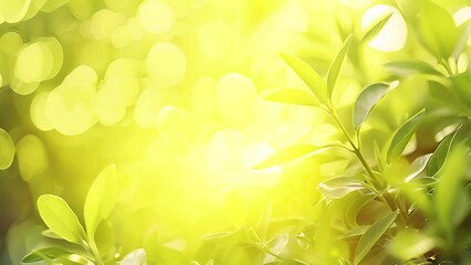 Wall Mural - Fresh green leaves on a tree sway in the wind. Elegant green background of green leaves and bokeh. High quality, 4K Copy space sunlight shining
