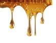 © INSPIRO SOURCE - Dripping honey drops from the top over white, , transparent png background