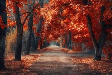 Wall Mural - Beautiful autumn landscape with trees in orange and red colors, romantic alleyway path through the park