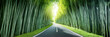 © Seiji 345 - road empty bamboo forest green travel sunlight
