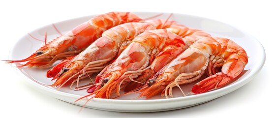 Wall Mural - giant food shrimp on a plate, realistic and professional setting