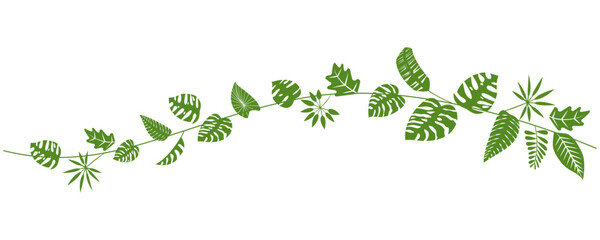 Tropical leaves pattern for summer and resort design. Green leaves illustration for botanical background. Vector illustration.