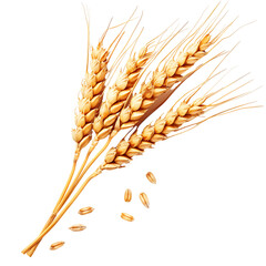 Transparent Background Isolated Wheat Stalks