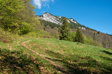 Canvas Print - Black Stone hill, Big Fatra mountains scenery, Slovakia