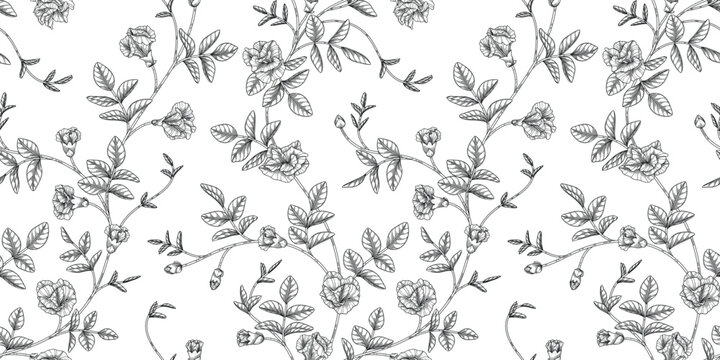 Butterfly pea floral pattern black and white illustration