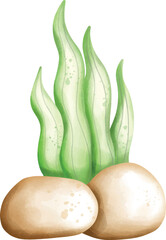 Wall Mural - vegetables on white background