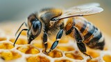 A macro shot of a honeybee on a flower, highlighting the intricate and vital relationship in nature. Minimal and Simple,