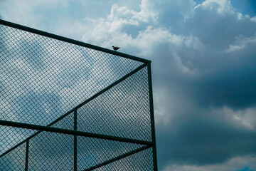 A bird is perched on a fence in front of a cloudy sky