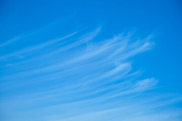 Wall Mural - White cirrus clouds on a blue daytime sky