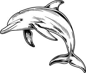 Dolphin clipart design illustration