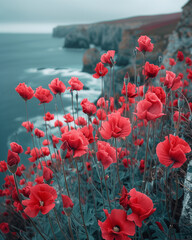 Poster - poppies on the beach