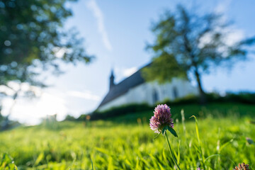 Wall Mural - a white church is in the distance with tall grass around it