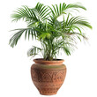 © TechnoMango - Palm Plant in Ornate Terracotta Pot: A lush green palm plant growing in an intricately designed terracotta pot.