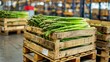 © Paul - Crates of asparagus in a distribution center, ready to be loaded onto trucks for delivery