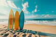 © Juri - Three surfboards stuck in the sand on the seashore
