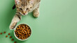 © Noreen - A curious cat pawing at a bowl of healthy pet food on a solid green background, leaving ample copy space, ideal for a web banner,