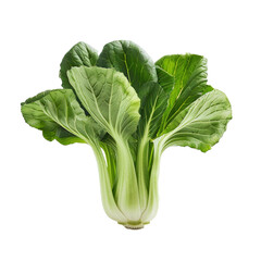 Wall Mural - Bok choy vegetable isolated on the white background