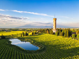 Aerial view of San Martino della Battaglia Tower surrounded of vineyard plantation and lake Garda in the background, San Martino della Battaglia, Lombardy, Italy