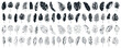 © SappiStudio - Mega set, fill and stroke outline silhouette jungle leaf large collection. Abstract black palm tropical rainforest leaves. Decorative plants. Graphic foliage silhouettes elements for design isolated