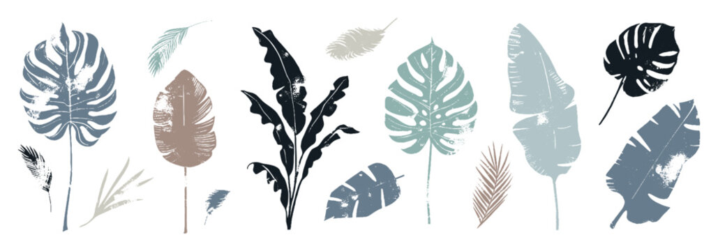collection of silhouette leaf elements. set of tropical plants, leaf branch, palm, monstera leaves, 