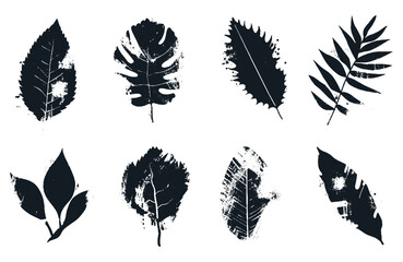 Hand drawn leaves elements set. Autumn leaf shape background. Various leaves in black color on white background for wallpapers, fabrics, packaging, webs, stickers, cards, posters. Doodle vector herbs