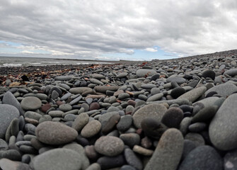 Wall Mural - Rocky beach under cloudy sky with scattered leaves in Ballantrae, Ayrshire, Scotland, UK