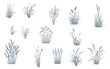 © shahzad - Set of grass line cad and silhouettes isolated on white background. Ground cover. Illustration for elevation architectural element, side view, grass section vector illustration