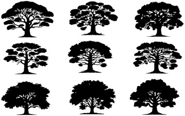 silhouette tree line drawing set, Side view, set of graphics trees elements outline symbol for architecture vector illustration