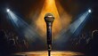 © Frantisek - microphone on stage