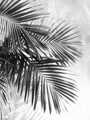 Canvas Print - Palm tree silhouette