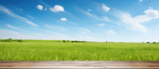 Wall Mural - wooden desk with white surface under a blue sky backdrop, featuring green grass and empty area for d
