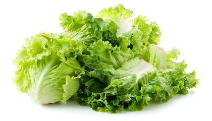 Wall Mural - Whole and cut fresh green iceberg lettuces isolated on white