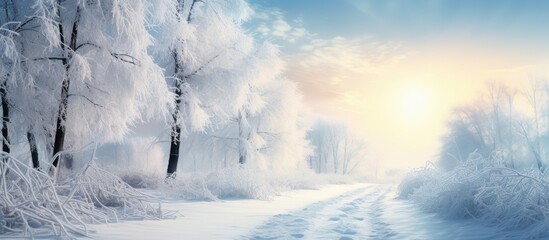 Poster - Sunny winter path. Creative banner. Copyspace image