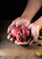 Wall Mural - Hands holding cactus pears