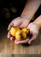 Wall Mural - Hands holding canistel fruits