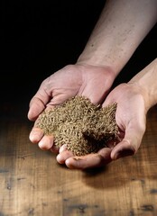 Wall Mural - Hands holding a handful of cumin on a wooden table