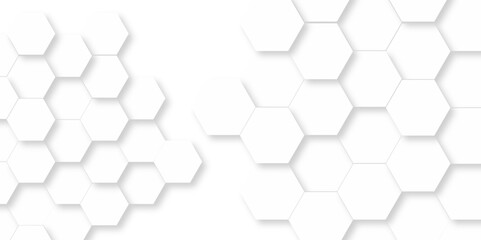 Wall Mural - 	
Vector pattern with hexagonal white and gray technology line paper background. Hexagonal 3d grid tile and mosaic structure mess cell. white and gray hexagon honeycomb geometric copy space.