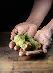 Wall Mural - hands with handful of wasabi roots