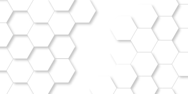 Vector pattern with hexagonal white and gray technology line paper background. Hexagonal 3d grid tile and mosaic structure mess cell. white and gray hexagon honeycomb geometric copy space.
