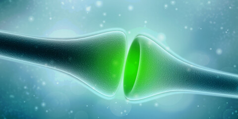 Wall Mural - 3d rendering synapse and neuron cells sending electrical chemical signals