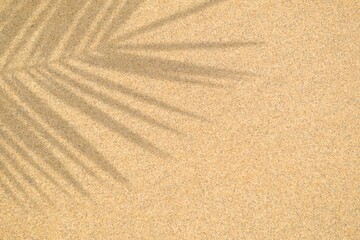 Wall Mural - realistic shadow of palm leaf on beach sand surface. minimal summer concept. mockup for product. hol