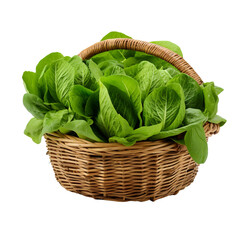 Poster - photo of green lettuce heads and spinach leaves displayed in a woven basket, isolated on a white background