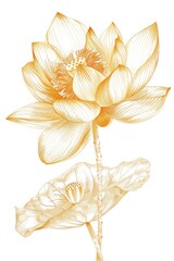 Wall Mural - A drawing of a yellow flower with a stem and a leaf. The flower is the main focus of the image, and the leaf is positioned below it