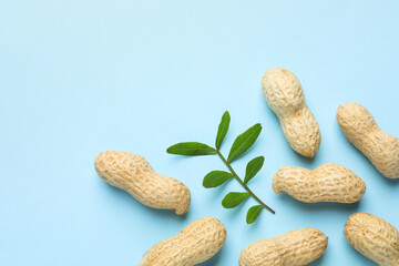 Wall Mural - Fresh unpeeled peanuts and twig on light blue background, flat lay. Space for text