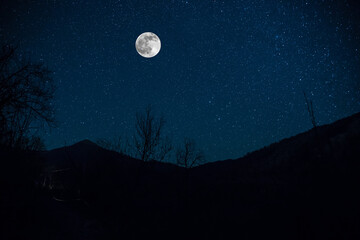 Wall Mural - mountain road through the forest on a full moon night. scenic night landscape of country road at nig