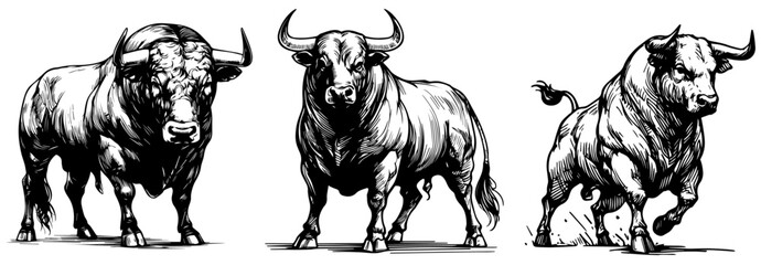 Wall Mural - bull black vector in sketch style on wood, linocut, woodcut, laser cutting engraving and printing, black and white illustration with animal on white transparent background