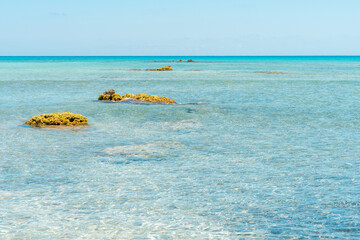 Wall Mural - Summer background with tropical beach. Elafonisi Greece.