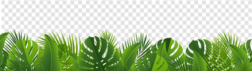 Wall Mural - Tropical Leaves Border Isolated White Background